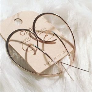 🚨Fashion forward Earrings!!!🚨